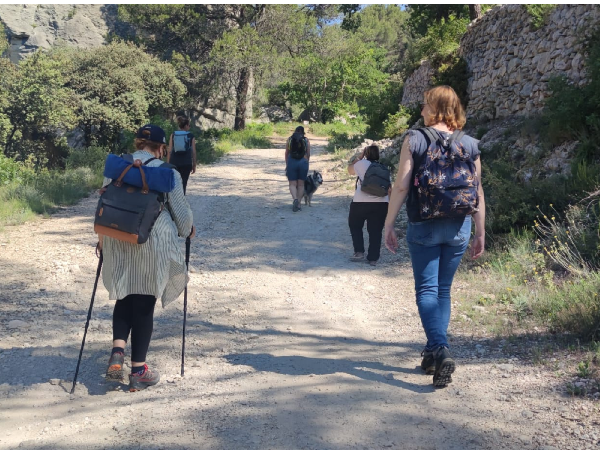 Participants lors d’une randonnée en groupe